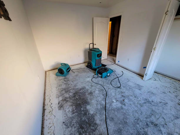 Best Emergency water damage restoration  in La Vale, MD