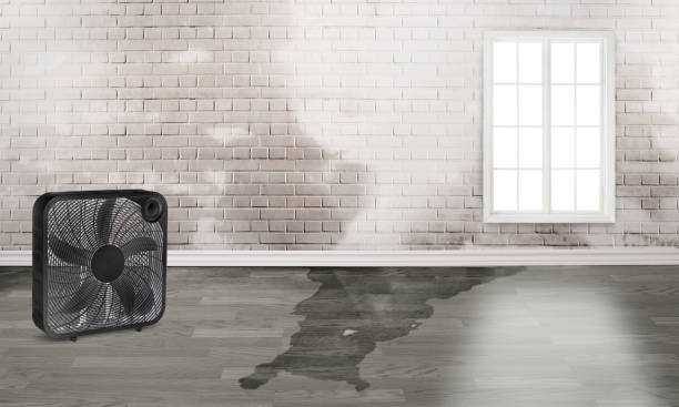 Best 24-hour water damage restoration  in La Vale, MD