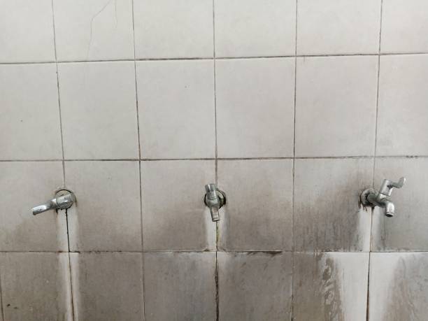 Best Flooded house restoration  in La Vale, MD