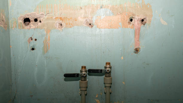  La Vale, MD Water damage restoration Pros
