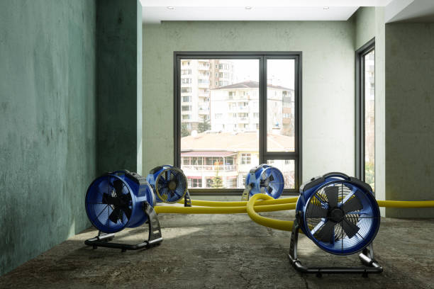 Best Sewage cleanup and water damage restoration  in La Vale, MD